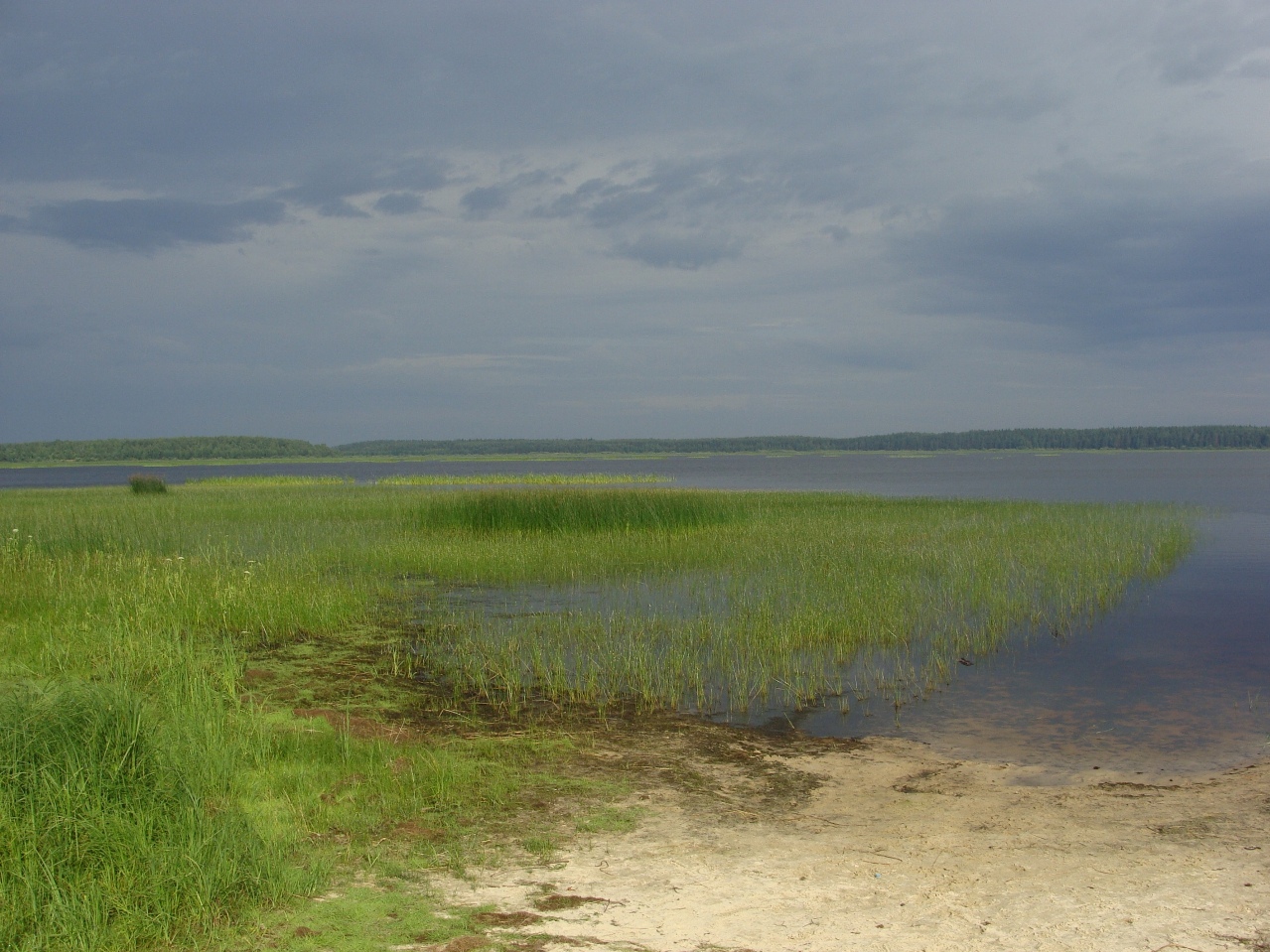 рязанская область озеро великое