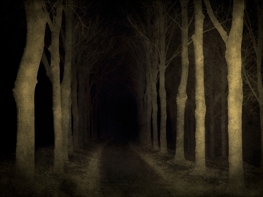 Какое самое темное место. Лиминальное пространство лес. Мрачное место. Страшные темные места. Жуткая природа.